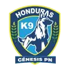 创世纪
